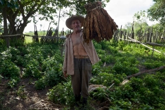 Tobacco farmer, El Cayuco, 2015