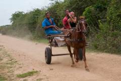 Horse cart, El Cayuco, 2015