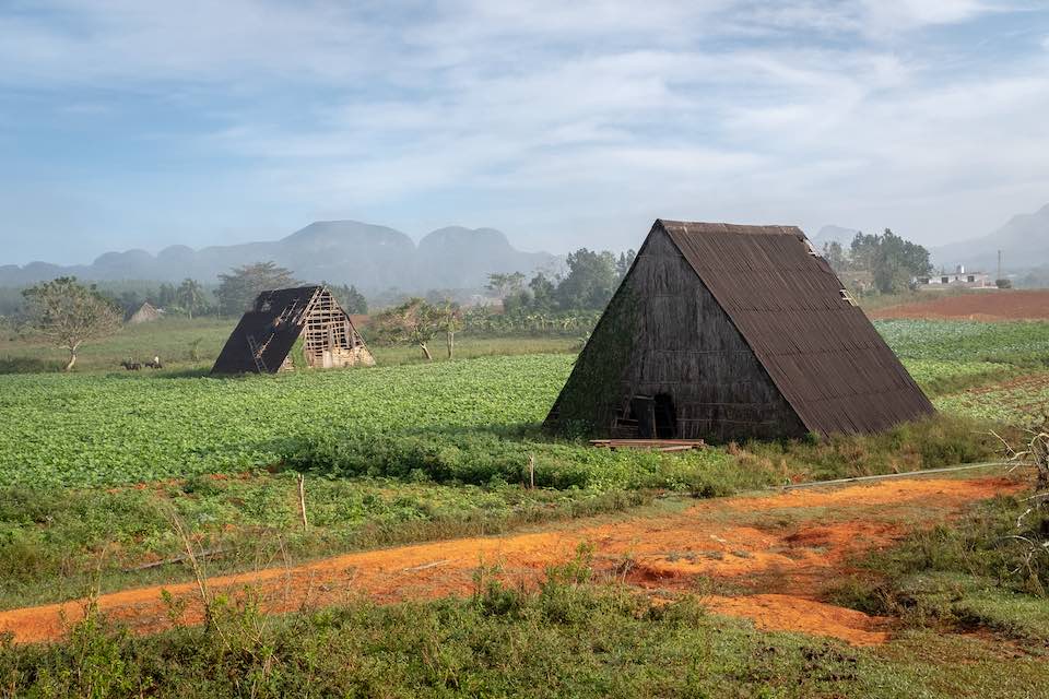 La Palma, Pinar del Río, 2019